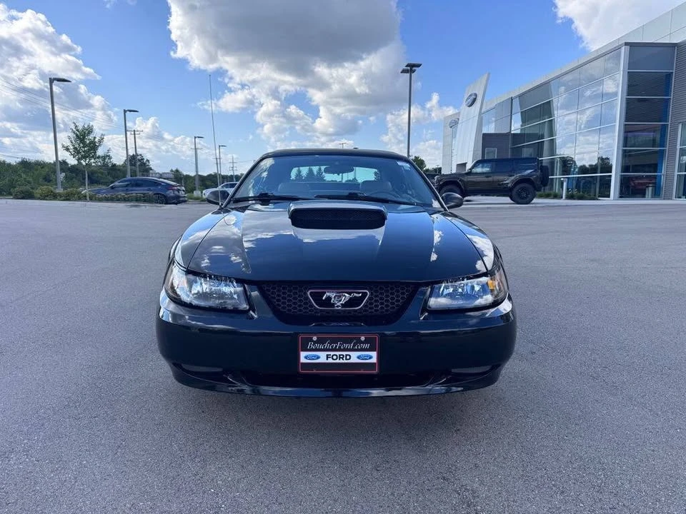 2003 Ford SN95 Mustang - Image 3 of 20