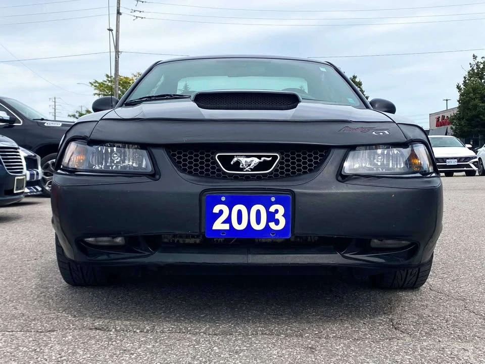 2003 Ford SN95 Mustang - Image 5 of 8