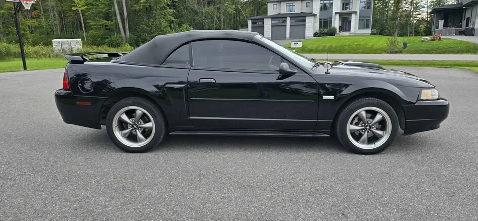 2003 Ford SN95 Mustang - Image 5 of 17