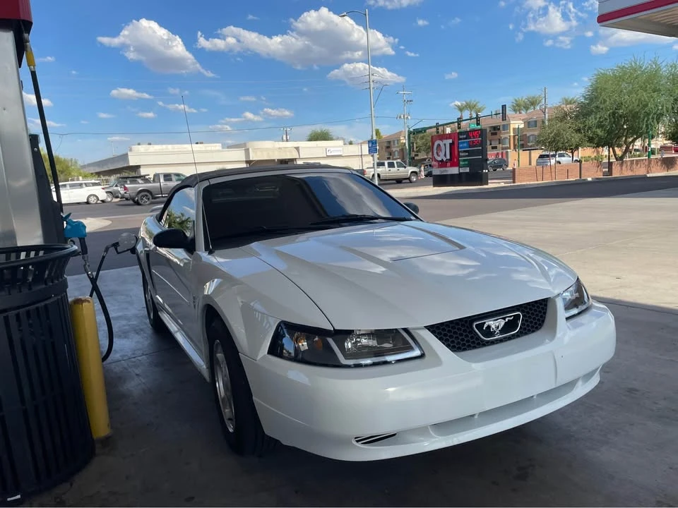 2003 Ford SN95 Mustang - Image 3 of 7
