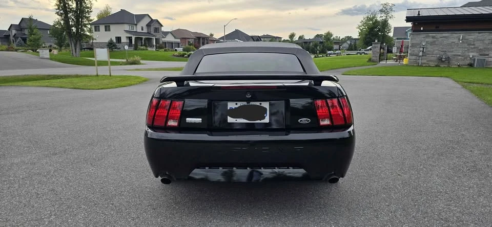 2003 Ford SN95 Mustang - Image 7 of 17