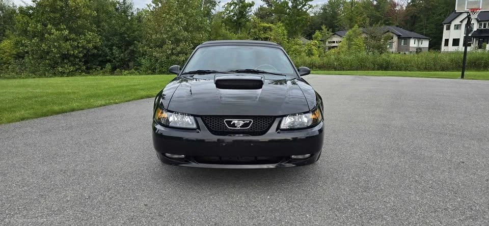2003 Ford SN95 Mustang - Image 3 of 17