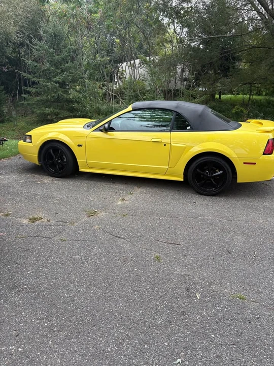2003 Ford SN95 Mustang - Image 3 of 7