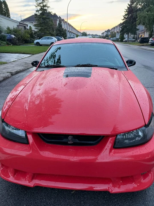 2003 Ford SN95 Mustang - Image 3 of 20