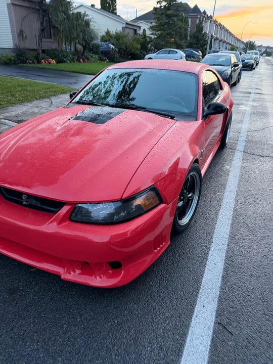 2003 Ford SN95 Mustang - Image 2 of 20