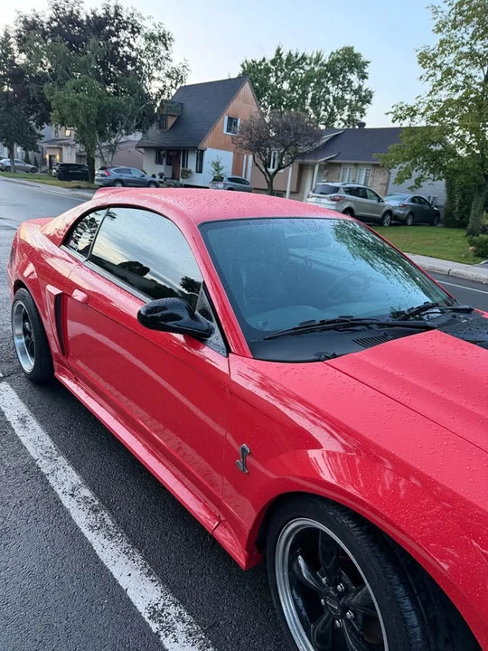 2003 Ford SN95 Mustang - Image 4 of 20