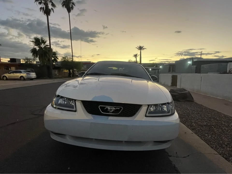 2003 Ford SN95 Mustang - Image 5 of 7