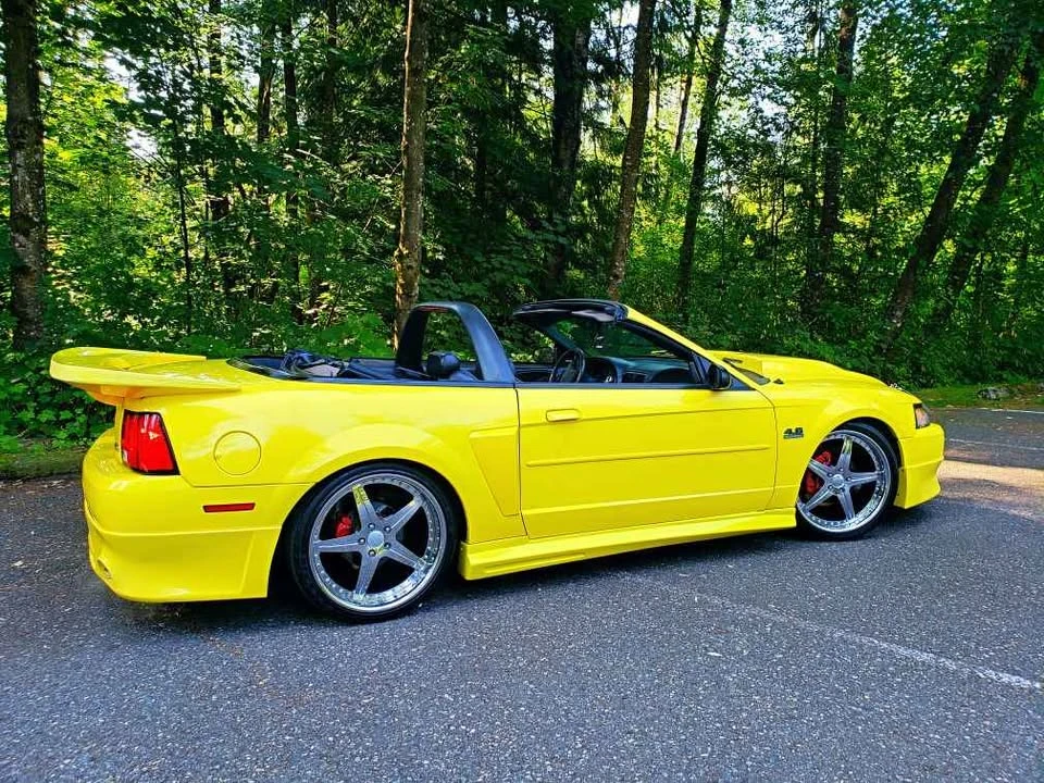 2003 Ford SN95 Mustang - Image 19 of 20