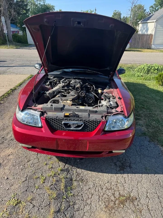 2003 Ford SN95 Mustang - Image 2 of 2