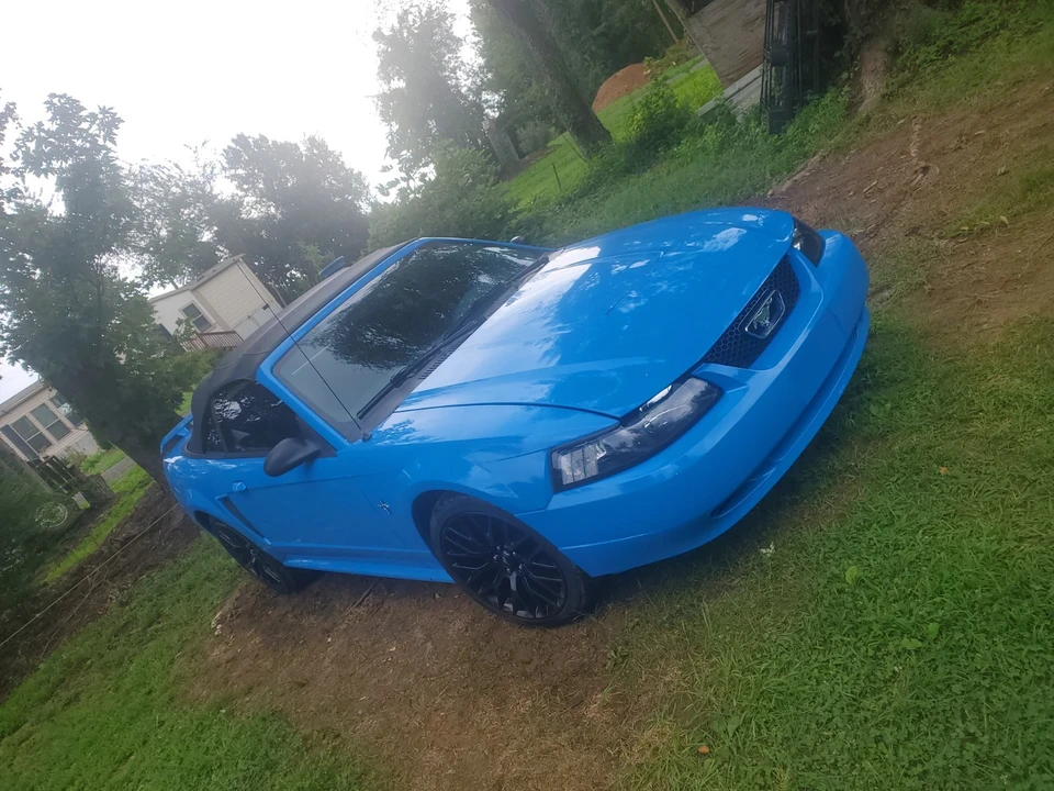 2003 Ford SN95 Mustang - Image 3 of 17