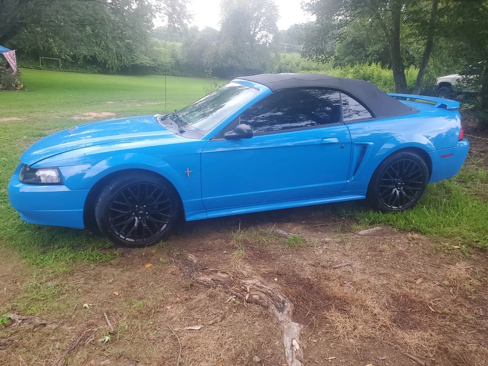 2003 Ford SN95 Mustang - Image 9 of 17