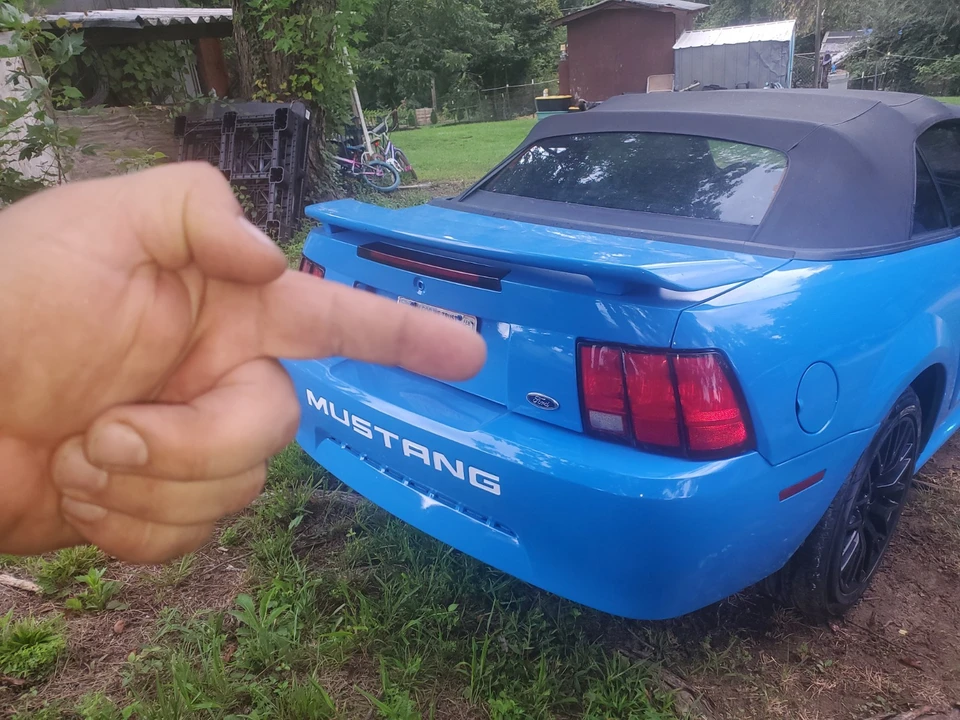 2003 Ford SN95 Mustang - Image 6 of 17