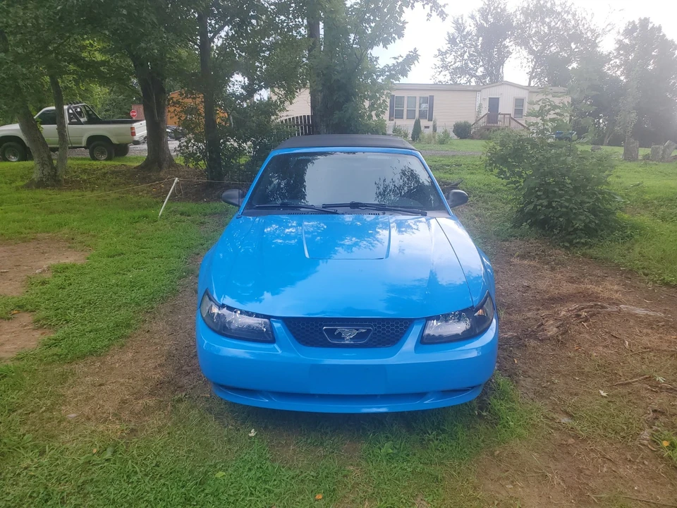 2003 Ford SN95 Mustang - Image 2 of 17