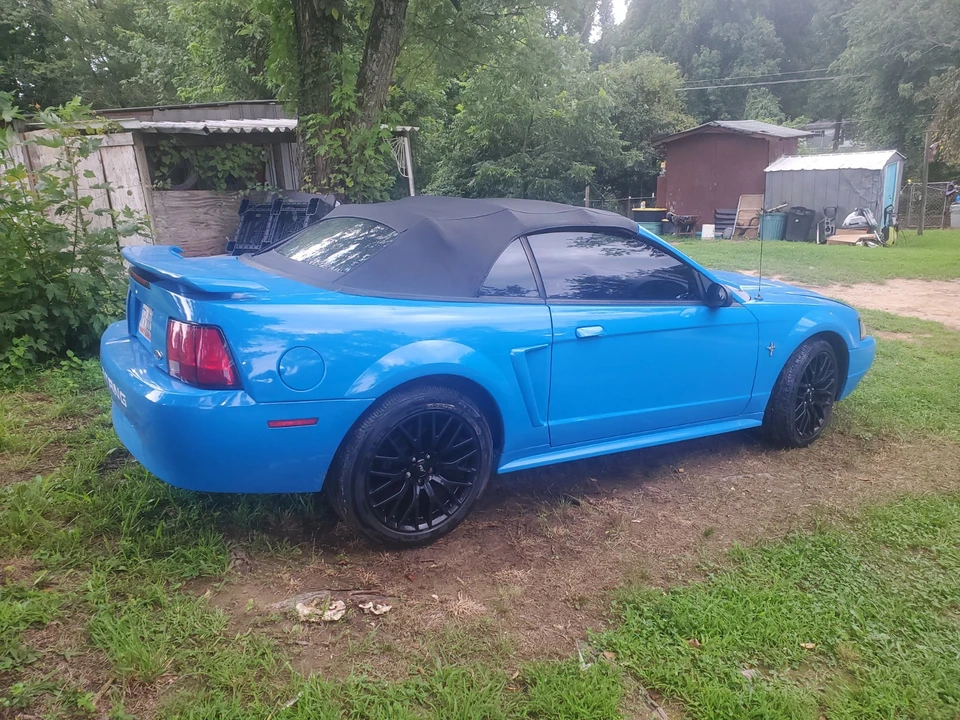 2003 Ford SN95 Mustang - Image 5 of 17