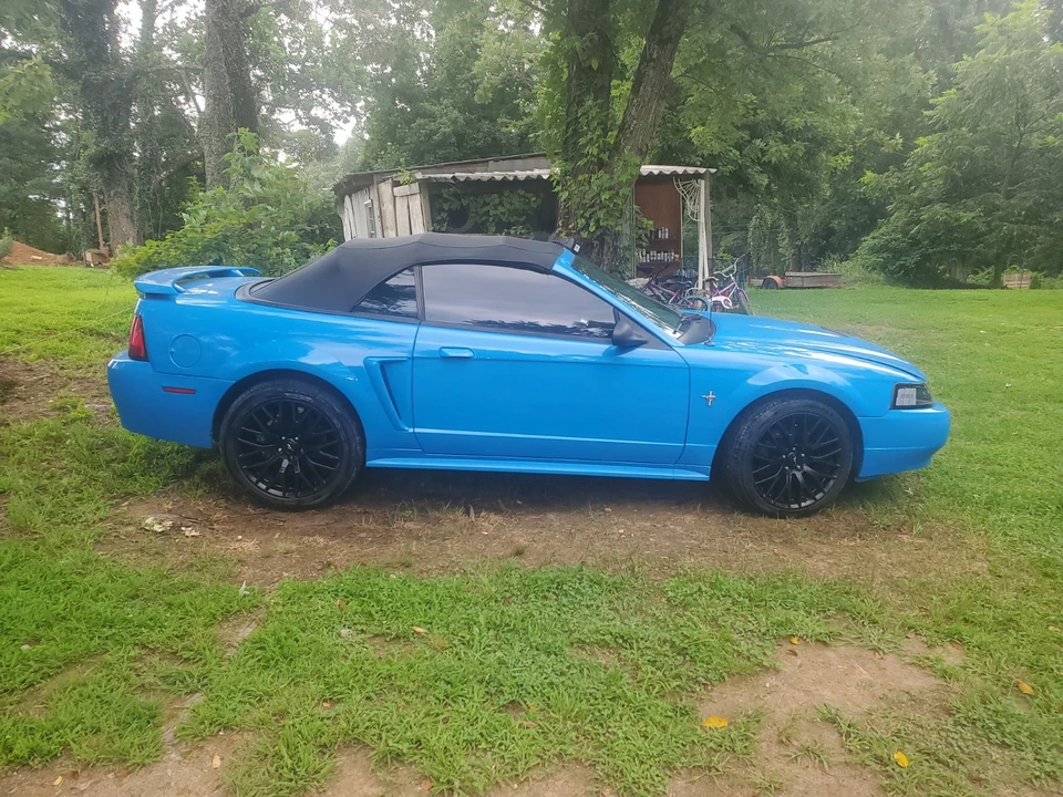 2003 Ford SN95 Mustang - Image 4 of 17