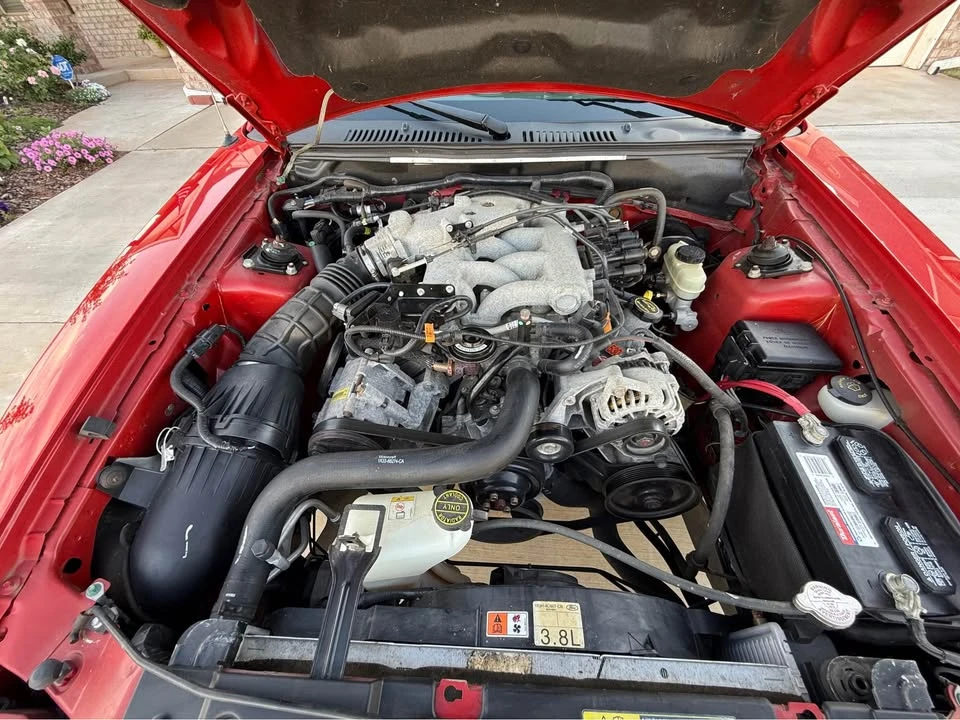 2003 Ford SN95 Mustang - Image 16 of 20