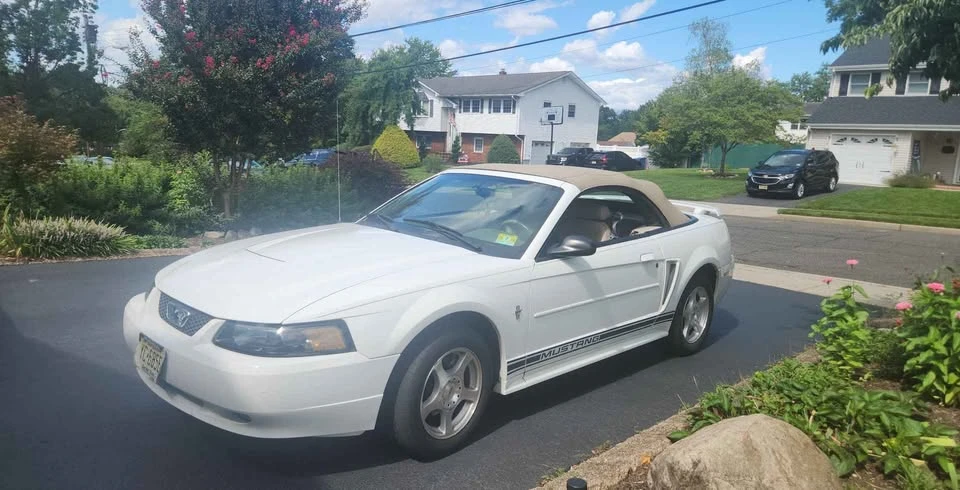 2003 Ford SN95 Mustang - Image 4 of 7