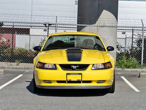 2003 Ford Mustang Premium Mach 1 Collector-Grade
