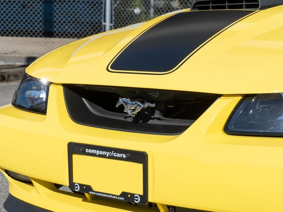 2003 Ford SN95 Mustang - Image 8 of 20