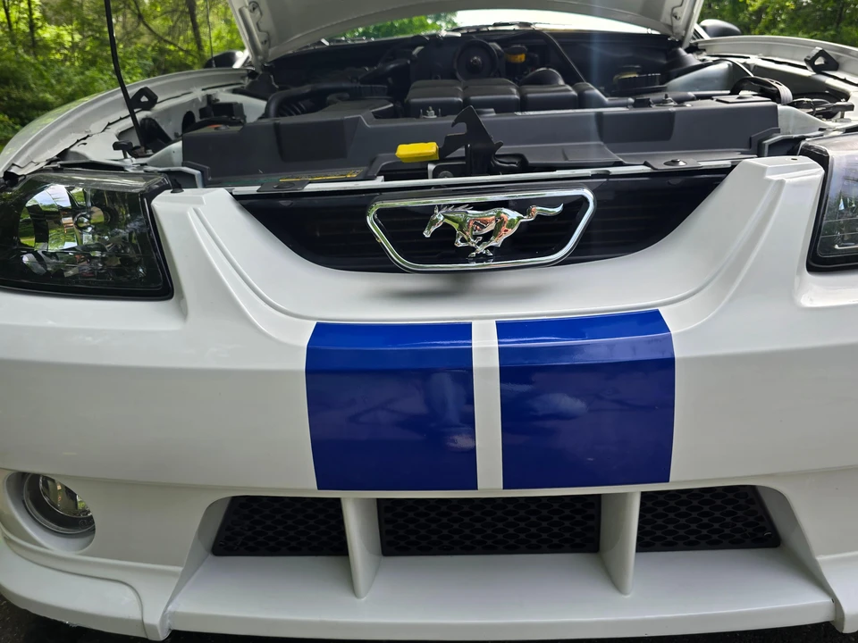 2003 Ford SN95 Mustang - Image 25 of 31