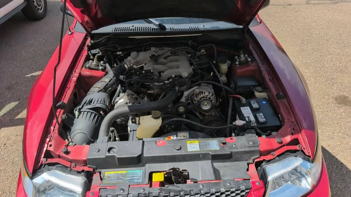 2003 Ford SN95 Mustang - Image 9 of 10