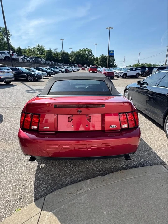 2003 Ford SN95 Mustang Cobra - Image 5 of 19