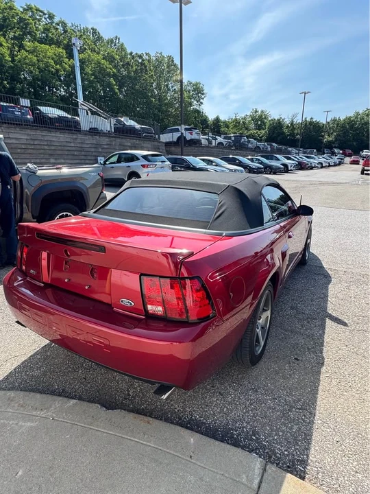2003 Ford SN95 Mustang Cobra - Image 6 of 19
