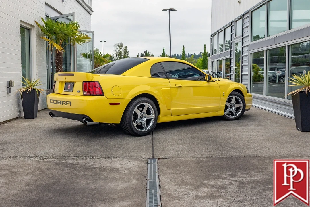 2003 Ford SN95 Mustang Cobra - Image 3 of 21