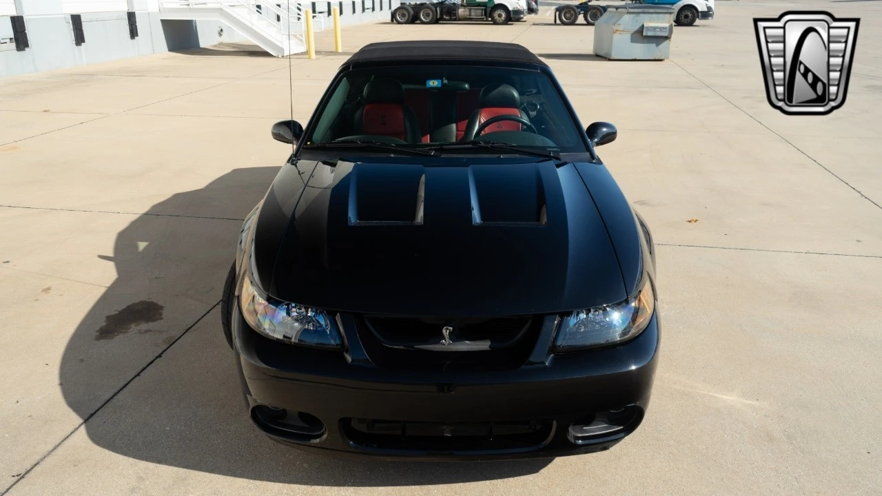 2003 Ford SN95 Mustang Cobra - Image 9 of 21