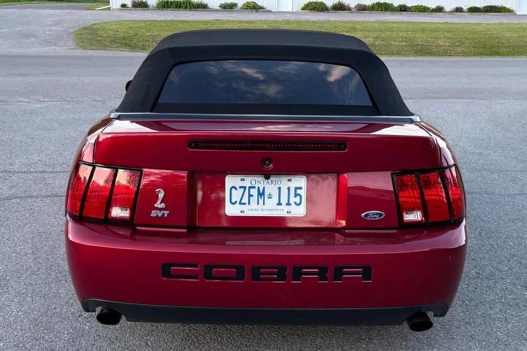 2003 Ford SN95 Mustang Cobra - Image 5 of 31