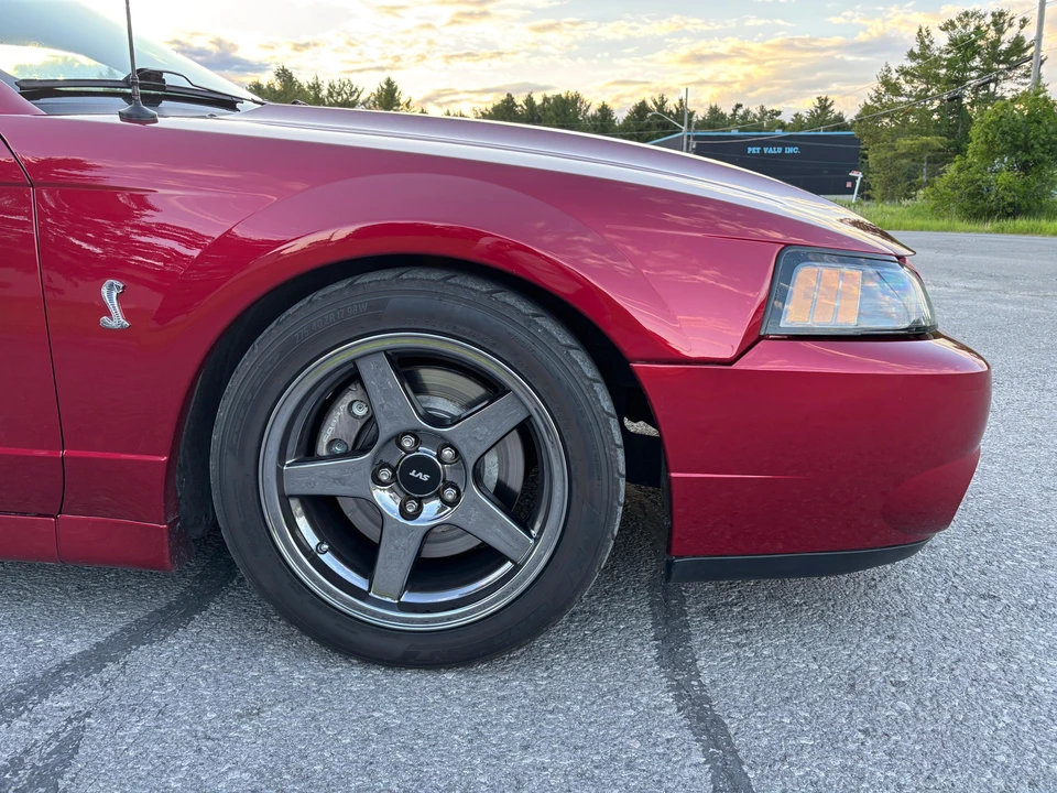 2003 Ford SN95 Mustang Cobra - Image 16 of 31