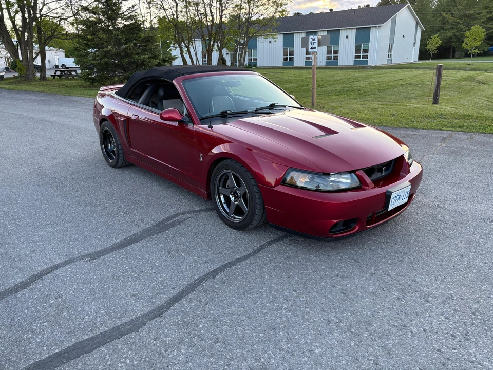 2003 Ford SN95 Mustang Cobra - Image 8 of 31