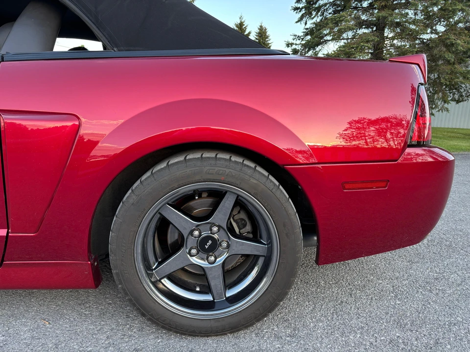 2003 Ford SN95 Mustang Cobra - Image 14 of 31
