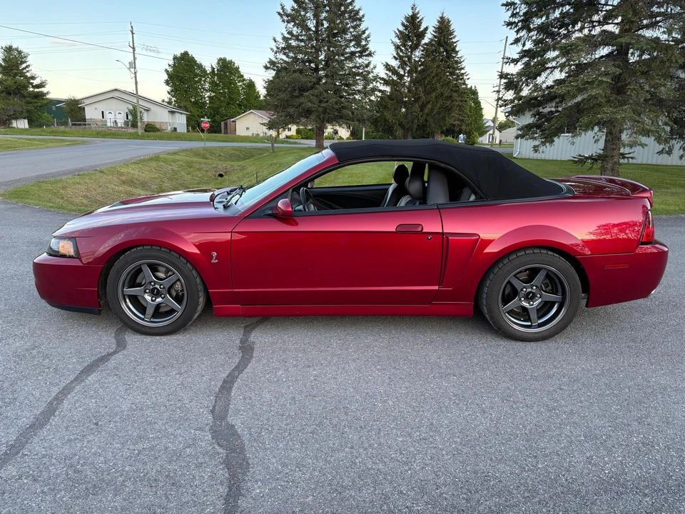 2003 Ford SN95 Mustang Cobra - Image 6 of 31