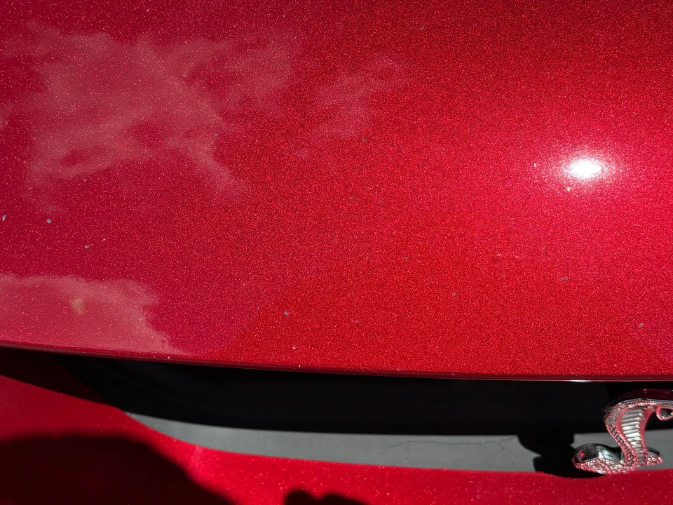 2003 Ford SN95 Mustang Cobra - Image 9 of 31