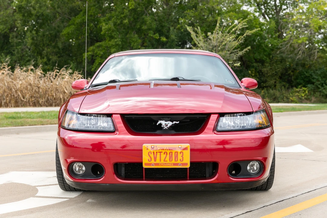 2003 Ford SN95 Mustang Cobra - Image 14 of 22