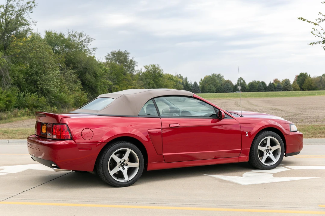 2003 Ford SN95 Mustang Cobra - Image 19 of 22