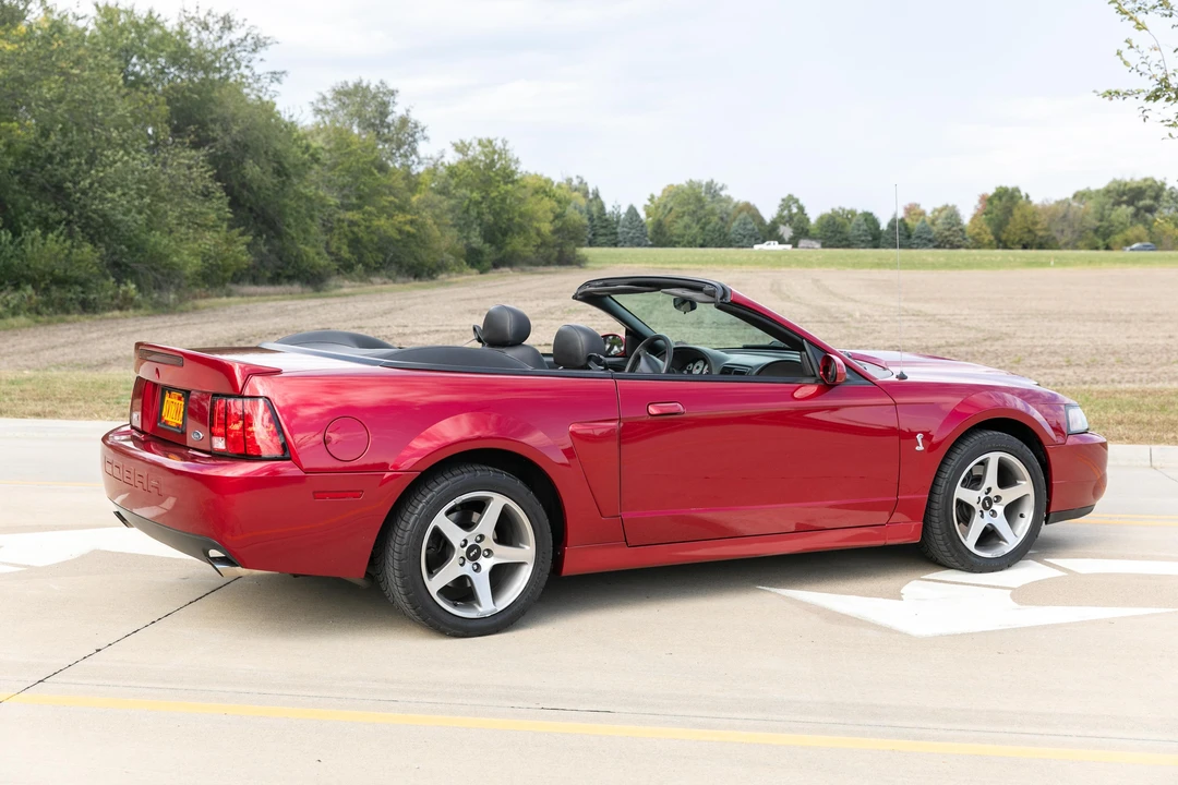 2003 Ford SN95 Mustang Cobra - Image 11 of 22