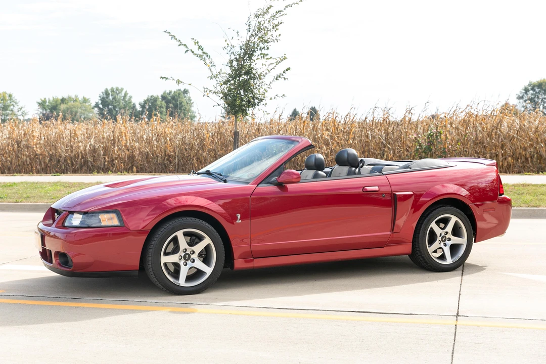 2003 Ford SN95 Mustang Cobra - Image 8 of 22