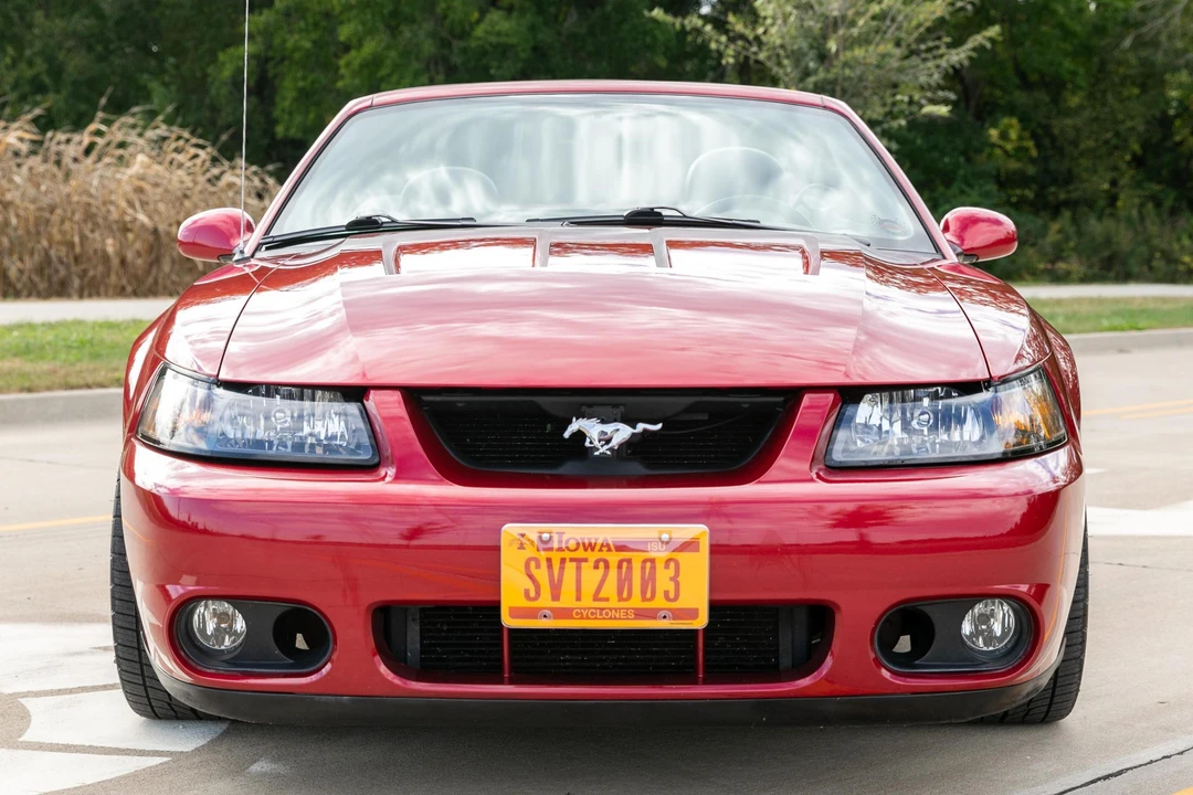 2003 Ford SN95 Mustang Cobra - Image 2 of 22