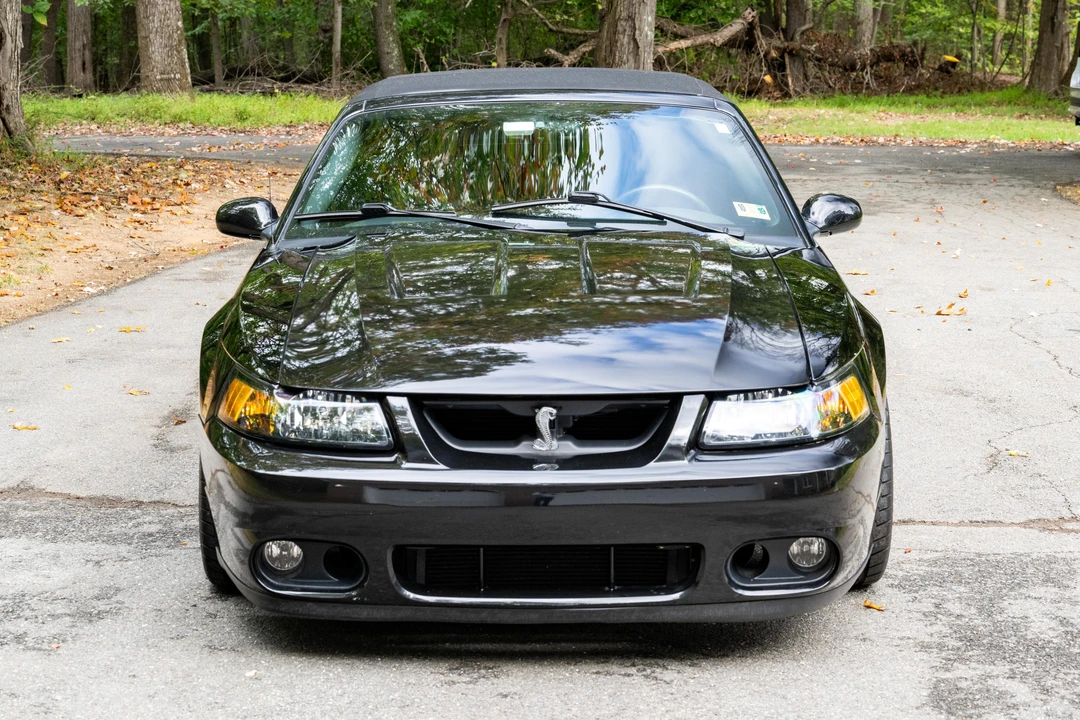 2003 Ford SN95 Mustang Cobra - Image 6 of 21