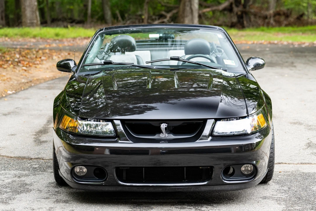 2003 Ford SN95 Mustang Cobra - Image 7 of 21