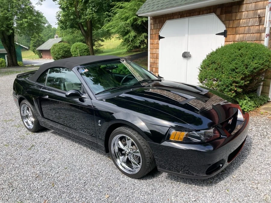 2003 Ford SN95 Mustang Cobra - Image 3 of 7