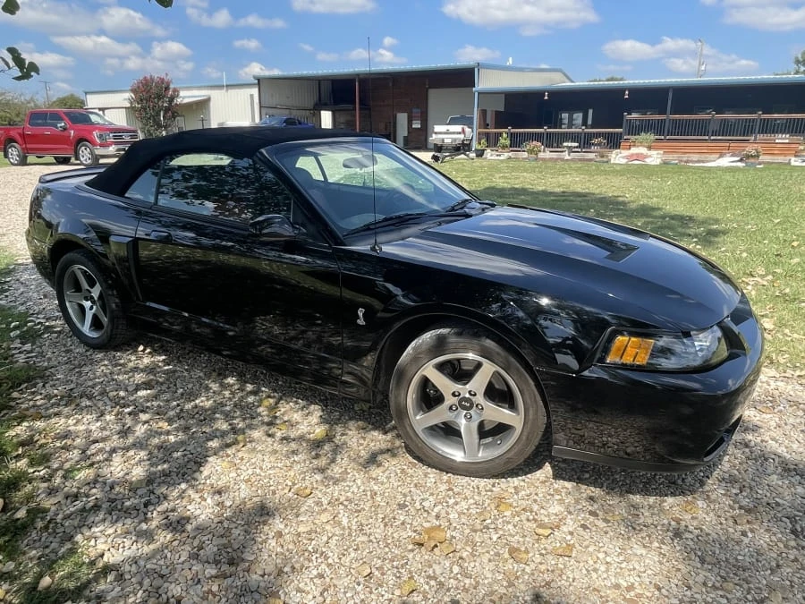 2003 Ford SN95 Mustang Cobra - Image 5 of 18