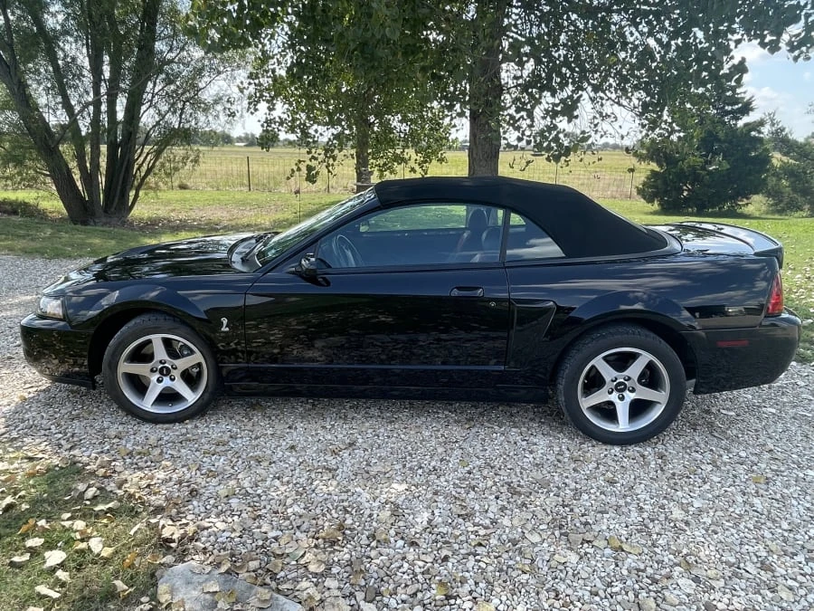 2003 Ford SN95 Mustang Cobra - Image 6 of 18