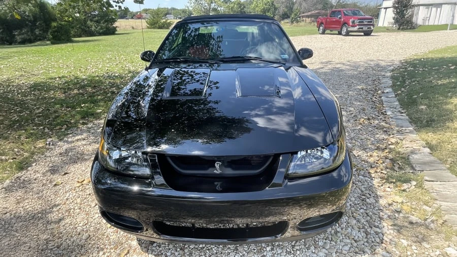 2003 Ford SN95 Mustang Cobra - Image 4 of 18