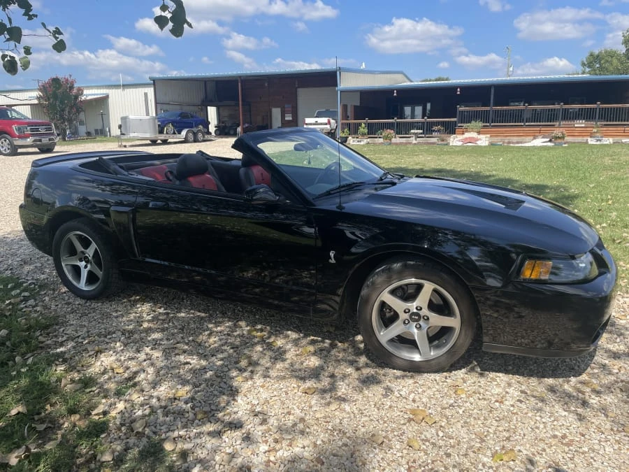 2003 Ford SN95 Mustang Cobra - Image 8 of 18