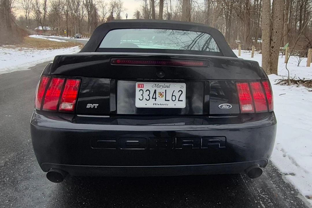 2003 Ford SN95 Mustang Cobra - Image 5 of 31