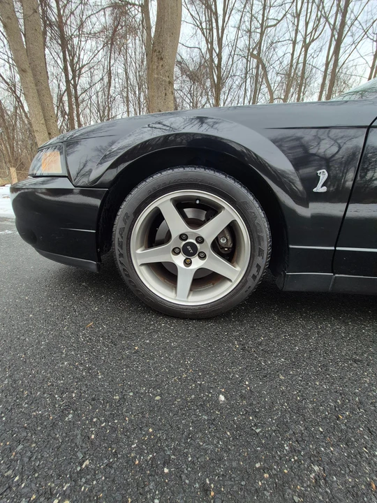 2003 Ford SN95 Mustang Cobra - Image 31 of 31