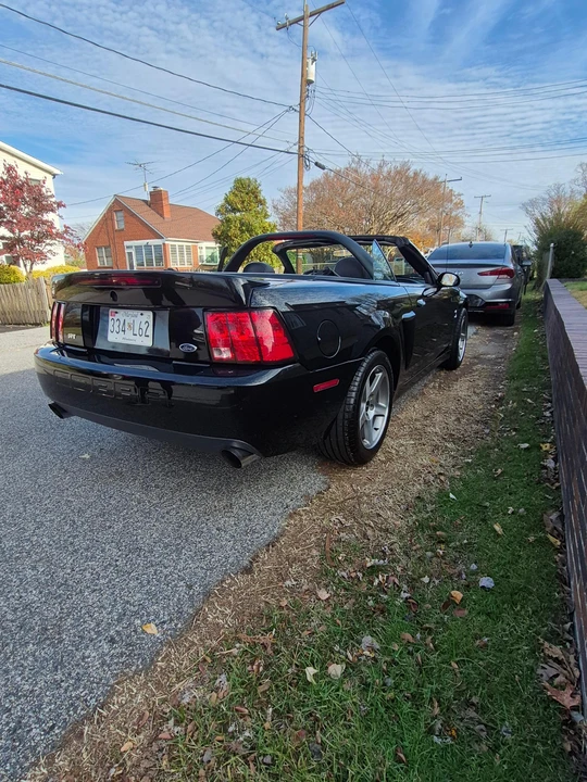 2003 Ford SN95 Mustang Cobra - Image 15 of 31